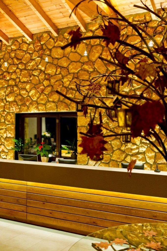 Pliadon Gi Mountain Resort & Spa Kato Sinikia Trikalon Exterior foto